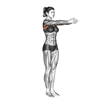 Best At Home Chest Workouts Dynamic Chest Stretch