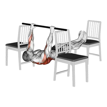 Elevanted Inverted Row Between 3 Chairs
