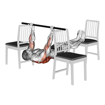 Elevanted Inverted Underhand Grip Row Between 3 Chairs