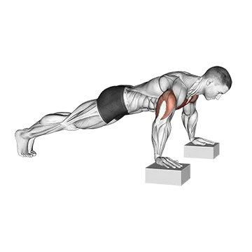 Elevanted Push Up