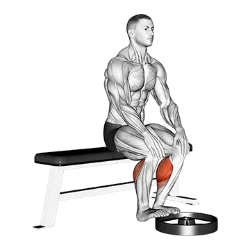 Elevated Seated Calf Raise