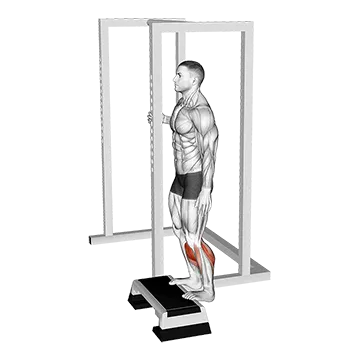 Best Bodyweight Calf Workouts Elevated Standing Calf Raise