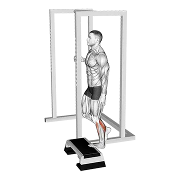 Best Bodyweight Calf Workouts Elevated Standing Single Leg Calf Raise