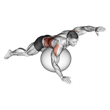Best Stability Ball Core Workouts Exercise Ball Alternating Arm Ups