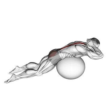Exercise Ball Back Extension With Hands Behind Head