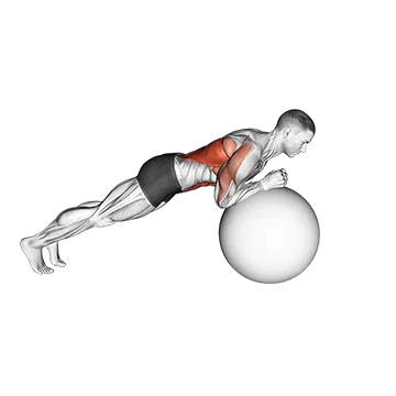 Exercise Ball Body Saw