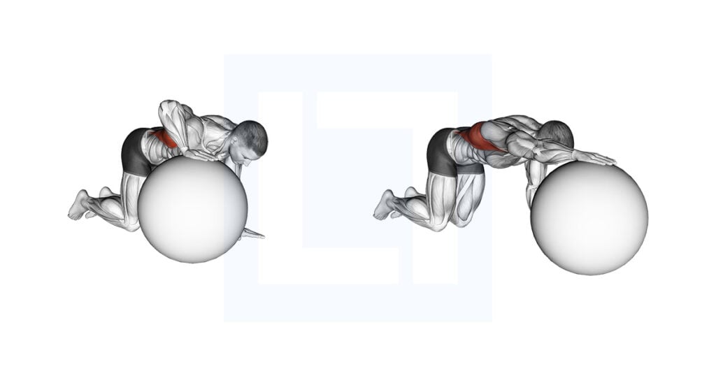 Exercise Ball Lat Stretch