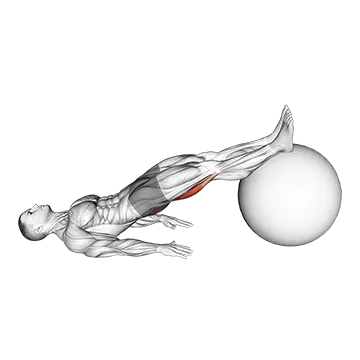 Best At Home Hamstring Workouts Exercise Ball Leg Curl