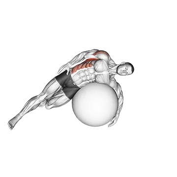 Exercise Ball Lying Side Lat Stretch