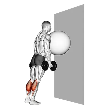 Exercise Ball on the Wall Calf Raise