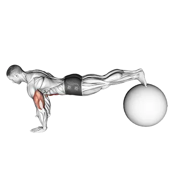 Exercise Ball Pike Pushup