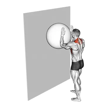 Exercise Ball Serratus Wall Slide