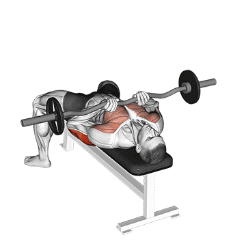 Best Ez Curl Bar Tricep Workouts EzBar Close Grip Bench Press