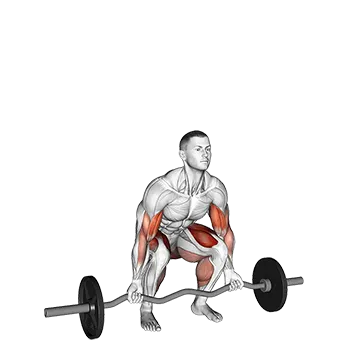Ez Bar Deadlift With Biceps Curl