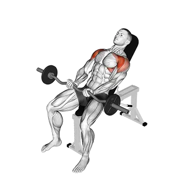 Ez Bar Incline Front Raise