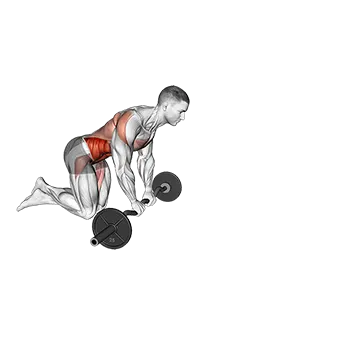 Best Ab Roller Workouts Ez Bar Kneeling Rollout
