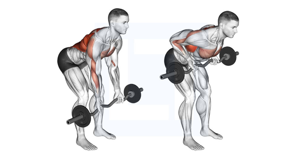Kettlebell Bent Over Row Guide Benefits And Form Kettlebell Bent Over Row Guide Benefits And Form