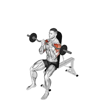 Ez Bar Seated Close Grip Shoulder Press
