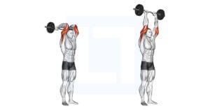 EZ Bar Standing French Press - Guide, Benefits, and Form