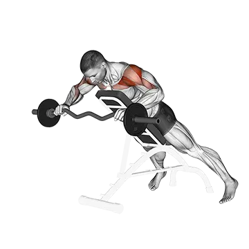 Best Ez Curl Bar Tricep Workouts Ez Barbell Anti Gravity Press