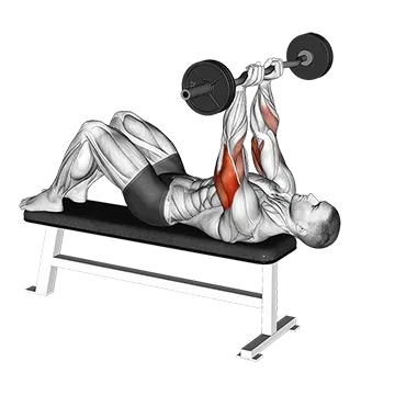 Best Ez Curl Bar Tricep Workouts Ez Barbell Decline Close Grip Face Press