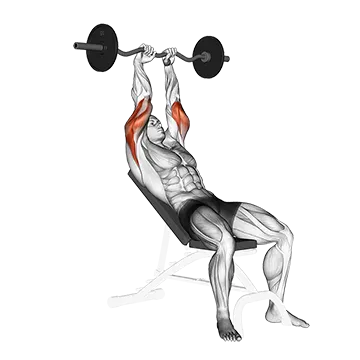 Best Ez Curl Bar Tricep Workouts Ez Barbell Incline Triceps Extension