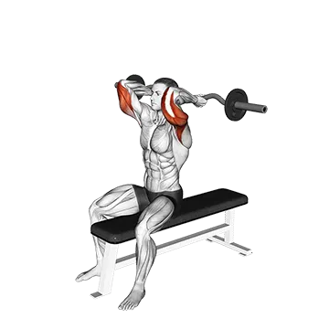 Ez Barbell Seated Triceps Extension