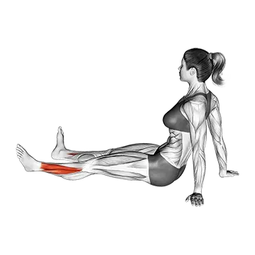 Feet and Ankles Rotation Stretch