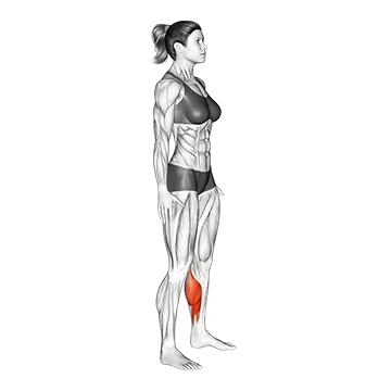 Feet and Ankles Side to Side Stretch