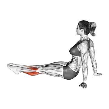 Feet and Ankles Stretch