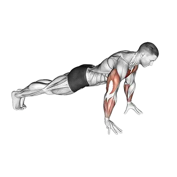 Best Bodyweight Forearm Workouts Finger PushUp