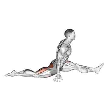 Flexion and Extension Hip Stretch