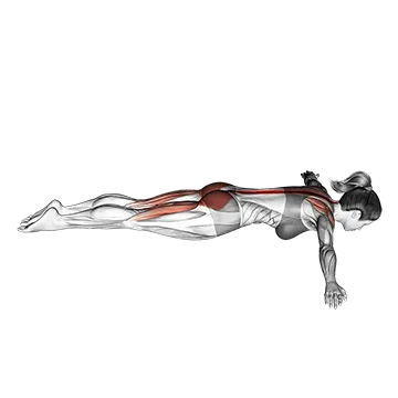 Best Bodyweight Trap Workouts Floor TRaise