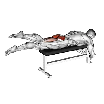 Best Military Calisthenics Workout Flutter Kicks