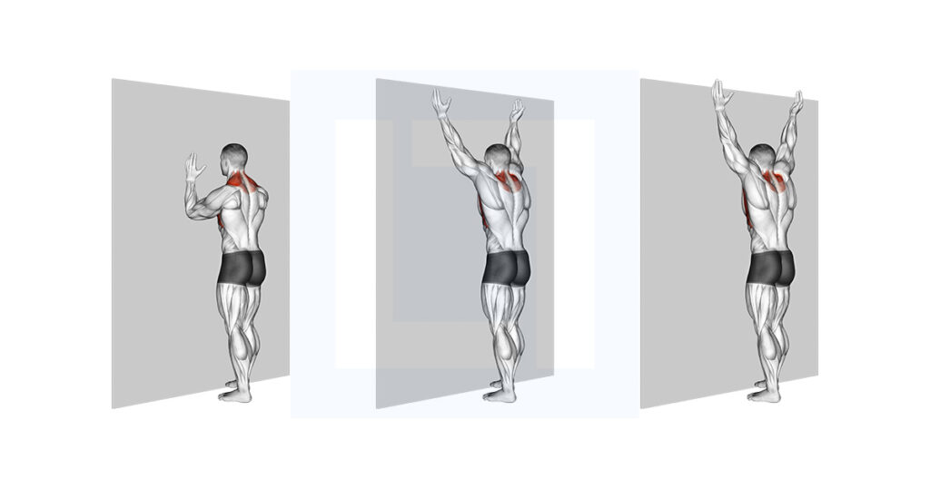Forearm Wall Slide Wall Angel On Forearms Forearm Wall Slide Wall Angel On Forearms