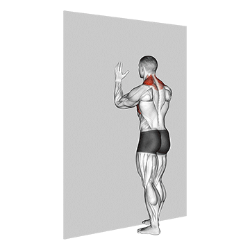 How To Improve Shoulder Mobility Forearm Wall Slide