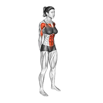 Forward Bend Back Stretch