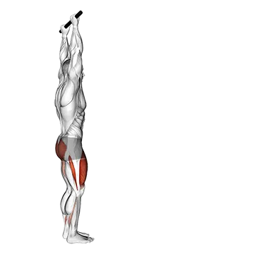 Forward Pulse Lunge With Hands Overhead