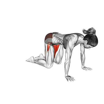 Frog Pose Mandukasan