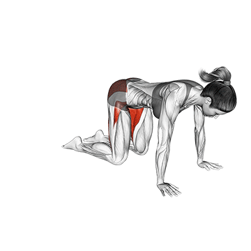 How To Improve Hip Mobility Frog Pose Mandukasana