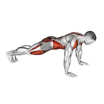 Front Plank to Toe Tap