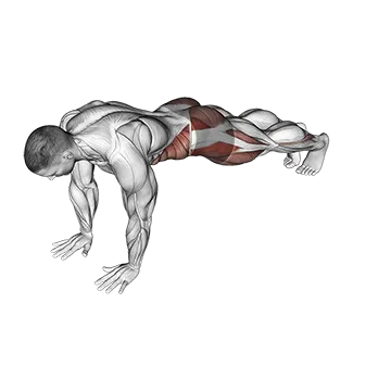 Front Plank Toe Tap