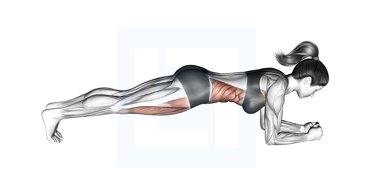 Plank on Bench