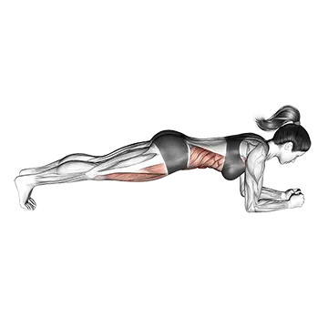 Best Calisthenics Workout Plan Front Plank