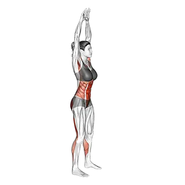 Front Toe Touching