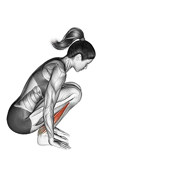 Garland Pose Malasan