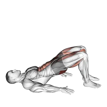 Best Beginner Hiit Workouts Glute Bridge March