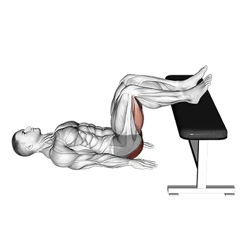 Glute Bridge Two Legs on Bench