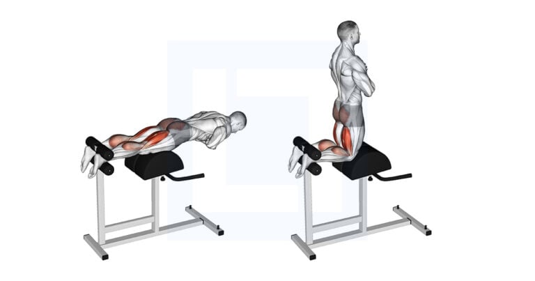 Glute Ham Raises Anleitung , Glute Ham Raise (GHR) für Anfänger ...