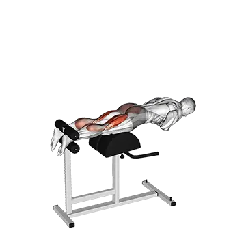 Best At Home Glute Workouts Glute Ham Raise